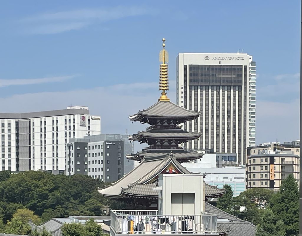 画像：本日の現場からの風景♪